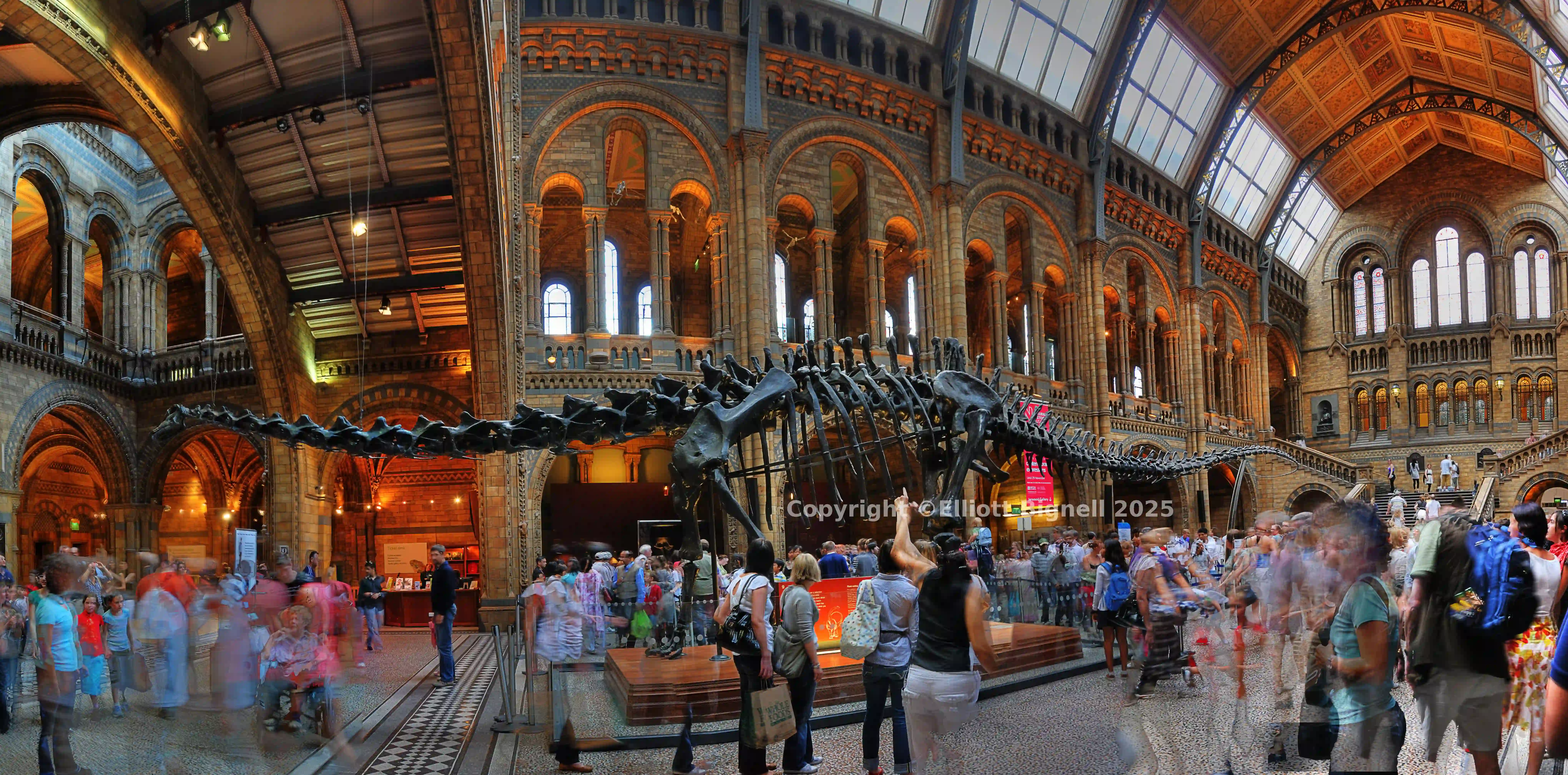 National History 3.jpg